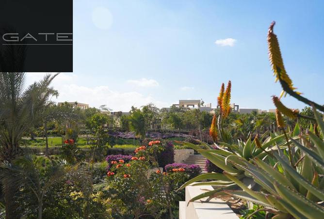 8267537 - صورة العقار 2