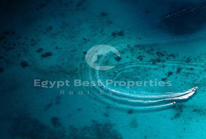 7983167 - صورة العقار 3