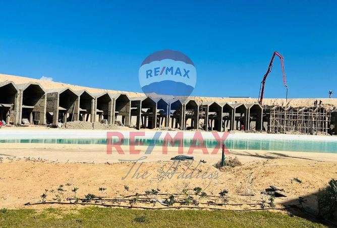 8550339 - Property Image 3