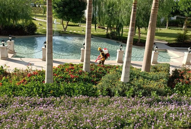 8197036 - Property Image 2