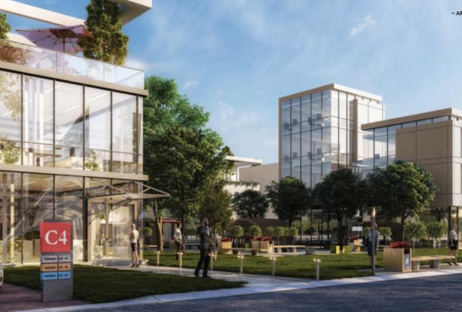 8137164 - Property Image 3