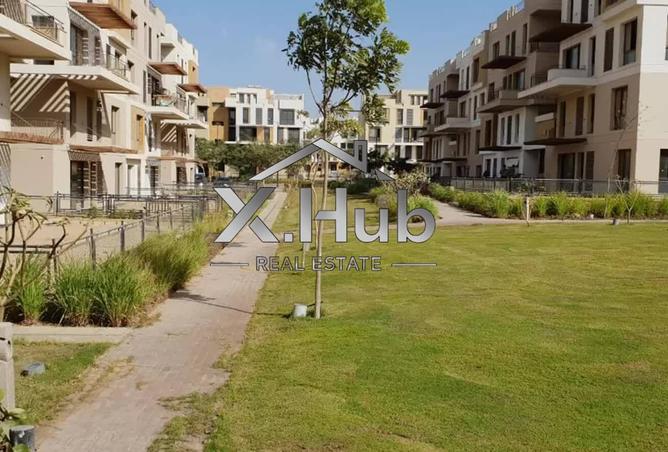 8388131 - Property Image 3