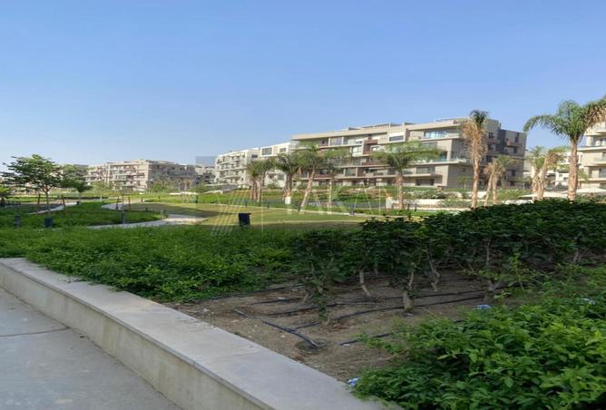 7994330 - Property Image 3
