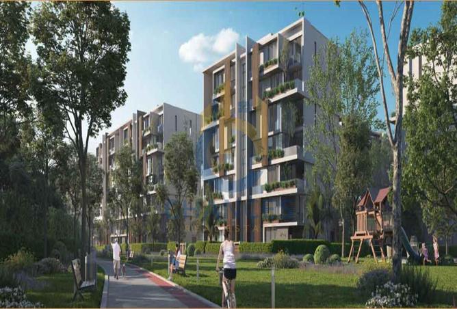 7971325 - صورة العقار 2