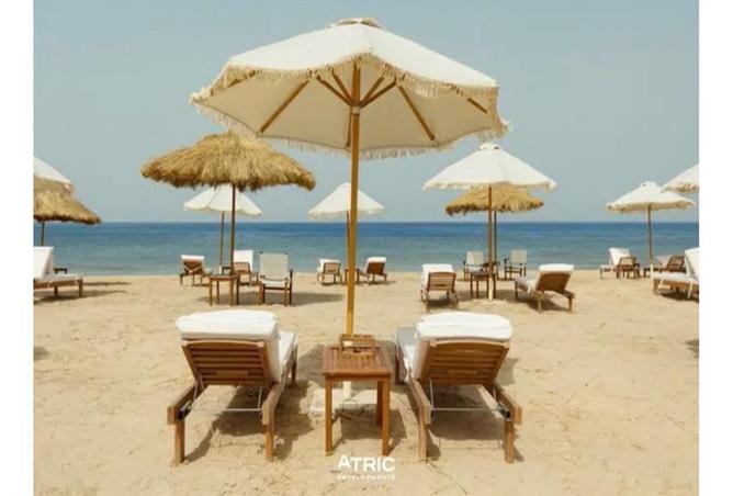 8167985 - Property Image 3