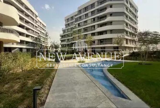 8136213 - Property Image 3