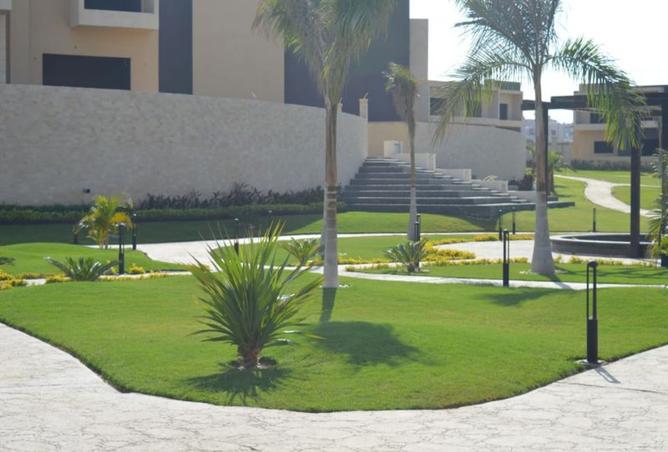 8432570 - Property Image 3