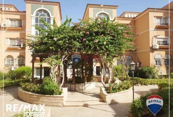 8253374 - Property Image 3