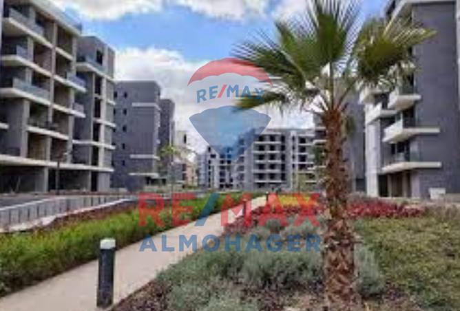 8207674 - Property Image 3