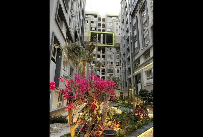 8083878 - الصورة الرئيسية للعقار