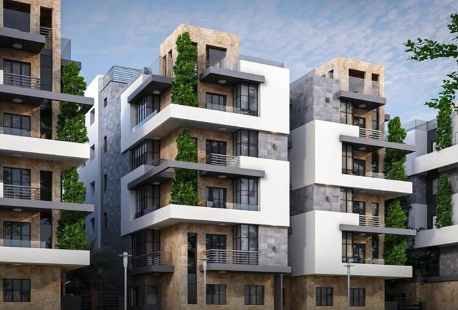 8431256 - Property Image 3