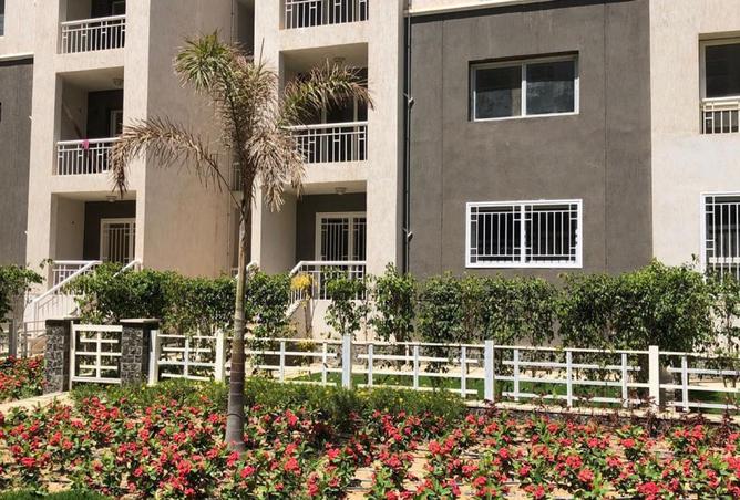 7916740 - Property Image 3