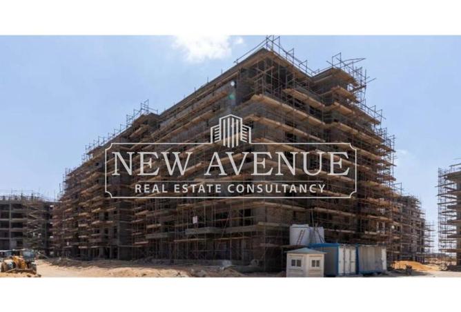 8277231 - Property Image 3