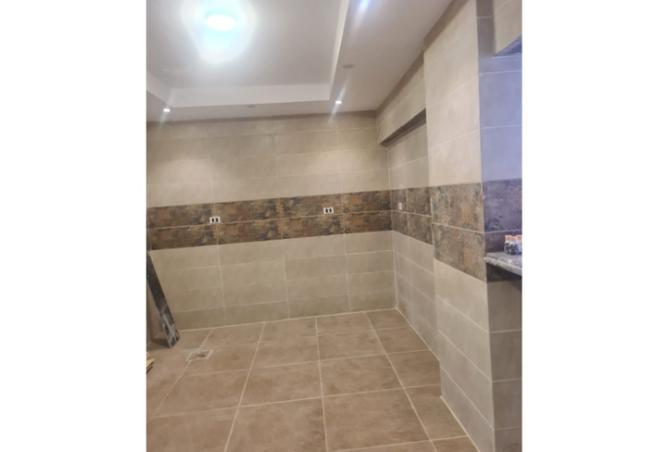 8250062 - Property Image 3