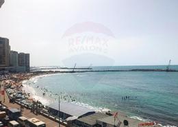 Apartment - 2 bedrooms - 1 bathroom for للايجار in El Gaish Road - Sidi Beshr - Hay Awal El Montazah - Alexandria