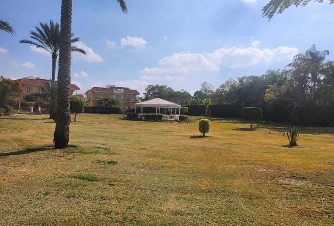 8203527 - Property Image 3