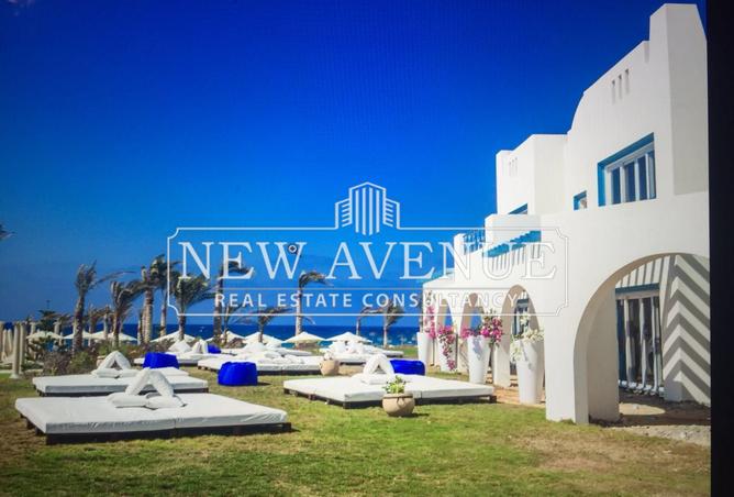 8480835 - Property Image 2