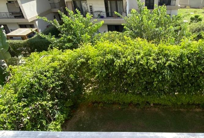 8405524 - Property Image 3