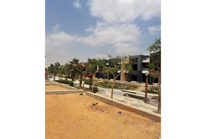 7992028 - صورة العقار 3