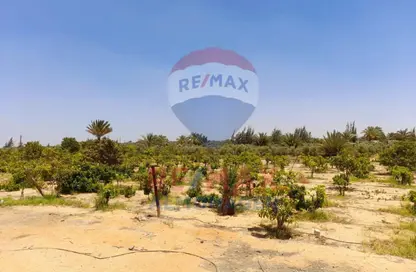 قطعة أرض - استوديو للبيع في الحزام الاخضر - مدينة 6 أكتوبر - الجيزة