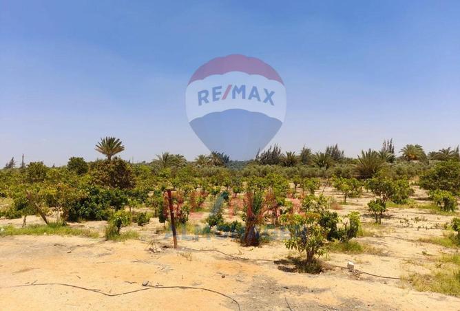 8318703 - الصورة الرئيسية للعقار