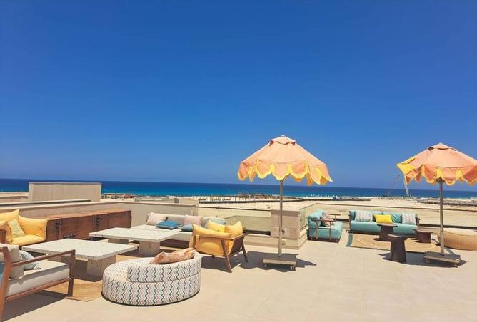 7978743 - صورة العقار 3