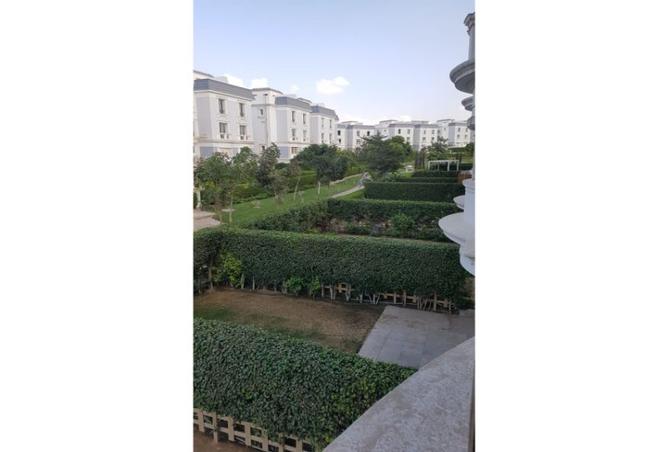 7993898 - Property Image 3