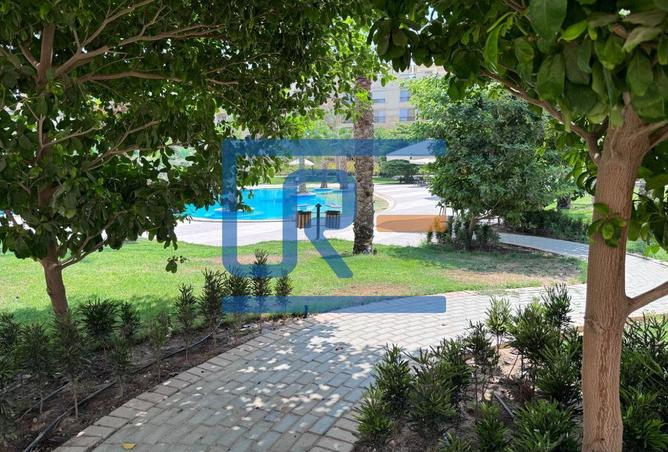 8155994 - Property Image 3