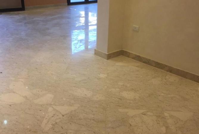 8303947 - Property Image 3