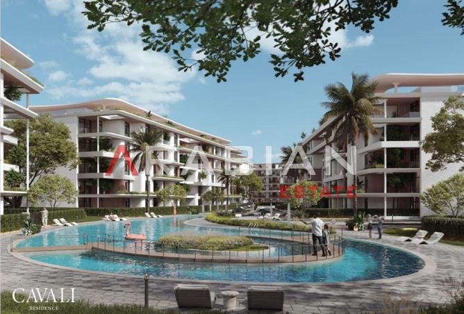 8439407 - Property Image 3