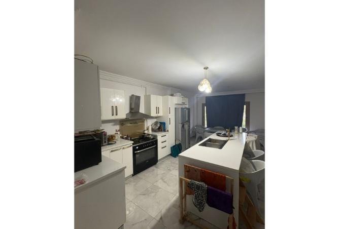 8267242 - Property Image 3