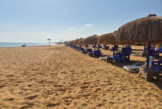 8288983 - صورة العقار 2