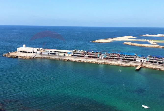 8063976 - الصورة الرئيسية للعقار
