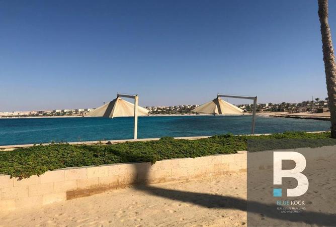 7535608 - صورة العقار 3