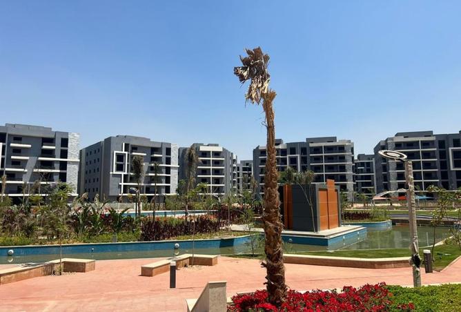 7925465 - Property Image 3