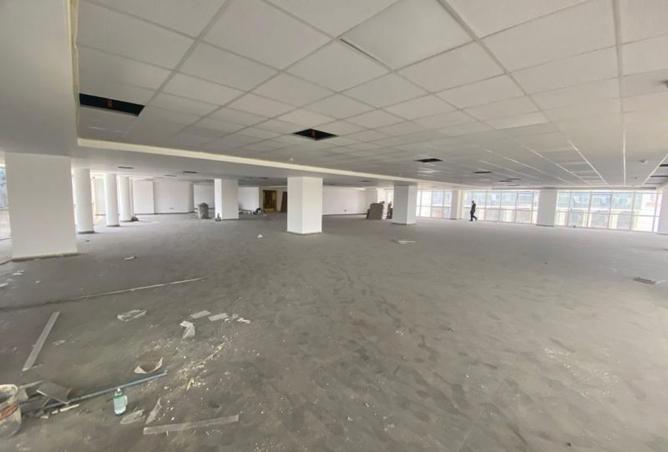 8564624 - Property Image 3