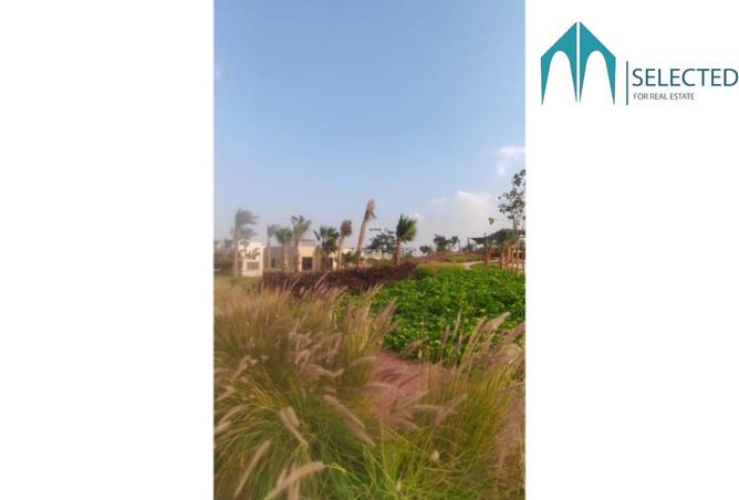 8503799 - Property Image 3