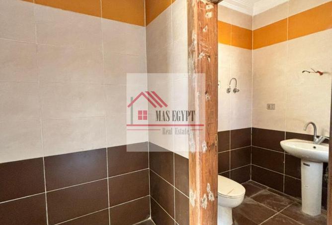 8452288 - Property Image 3