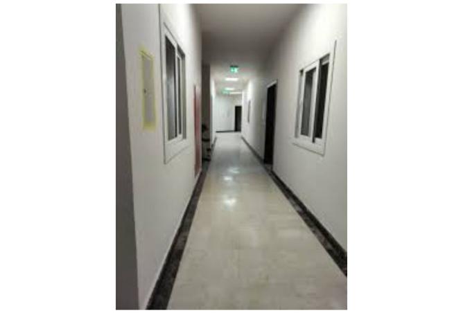 8124369 - Property Image 3