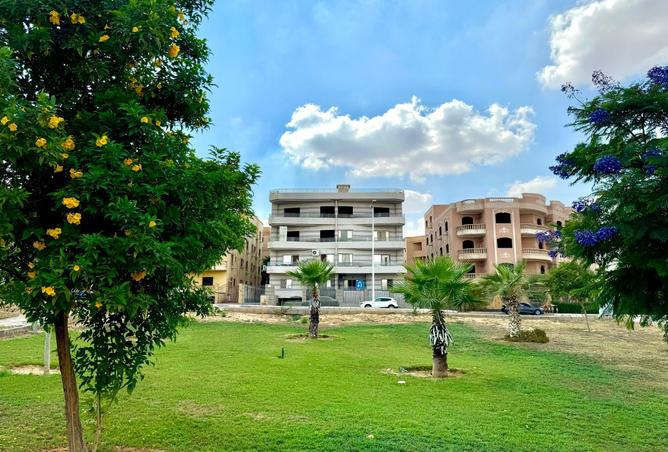 8359335 - صورة العقار 3