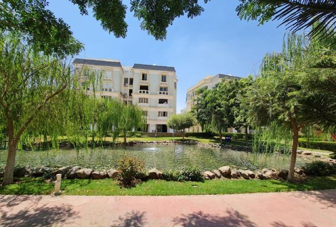 8108536 - Property Image 3