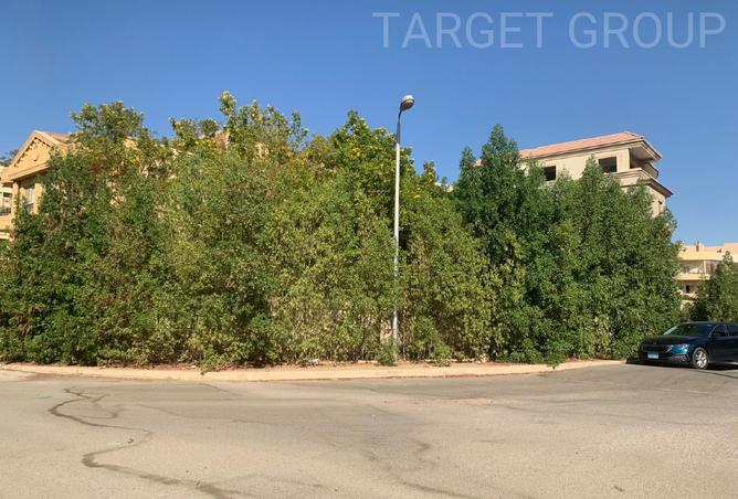8144444 - Property Image 3