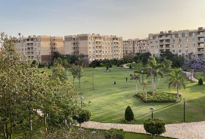 7950146 - صورة العقار 3