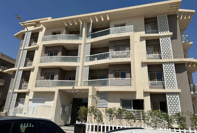 7913955 - Property Image 3