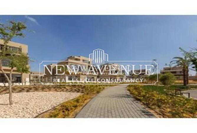 8413313 - Property Image 3