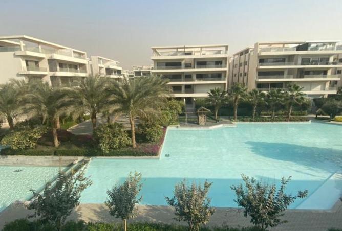 8169369 - صورة العقار 2