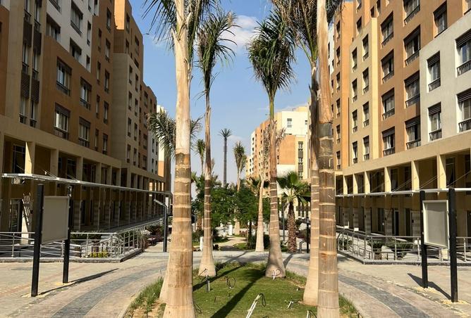 8405374 - Property Image 2