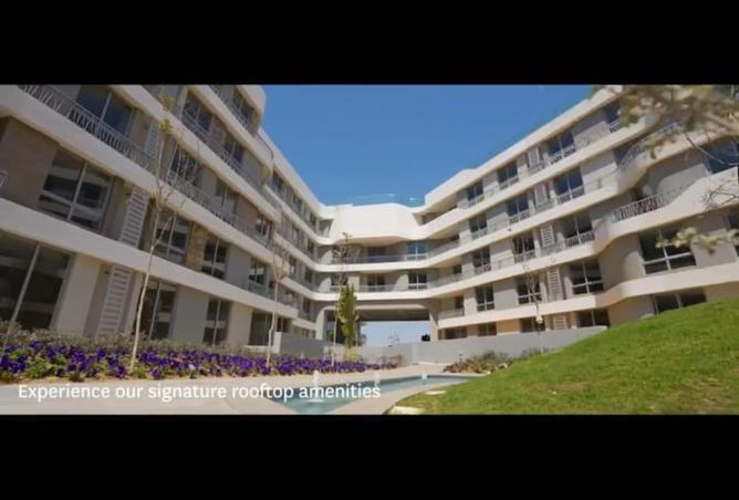 8124482 - Property Image 3