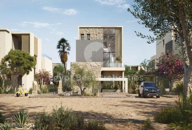 8019386 - Property Image 3