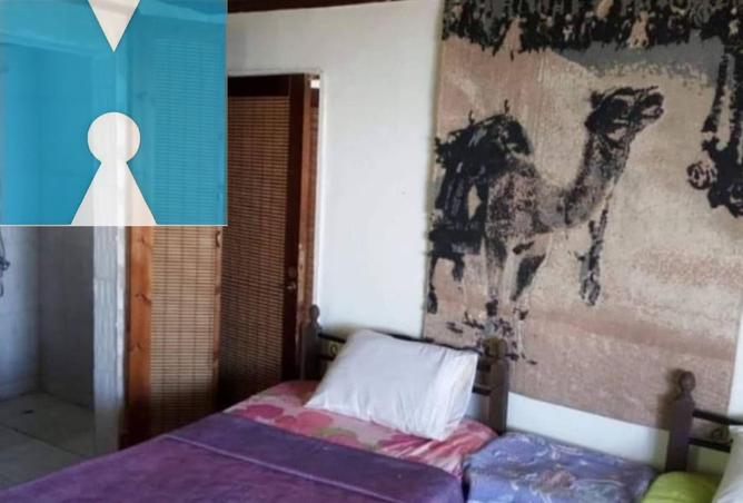 8491894 - Property Image 2